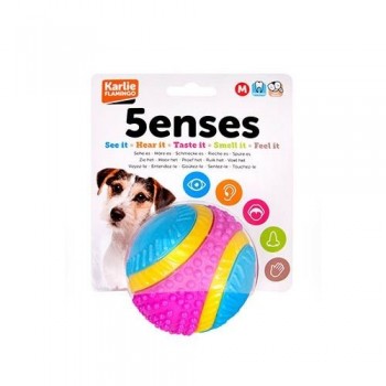 Juguete para perro pelota 5 sentidos